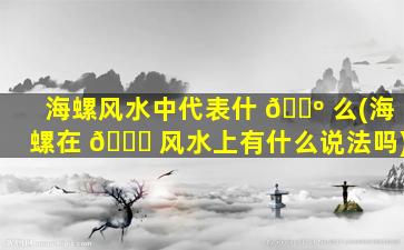 海螺风水中代表什 🌺 么(海螺在 🐘 风水上有什么说法吗)
